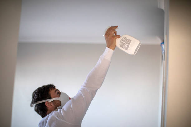 Office Mold Removal Services in Conesus Lake, NY