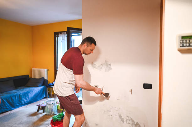 Certified Mold Removal in Conesus Lake, NY
